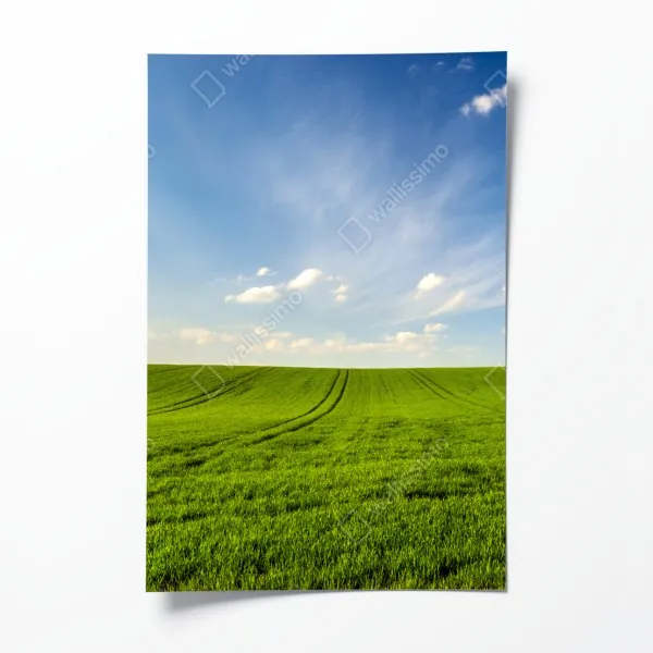 Plakat wiosenna zielona panorama łąki