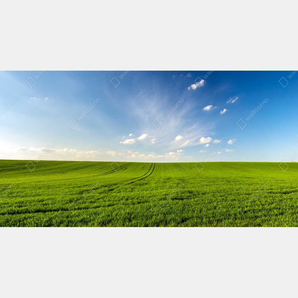 Plakat wiosenna zielona panorama łąki – Wallissimo® Plakat wiosenna zielona panorama łąki – Wallissimo®