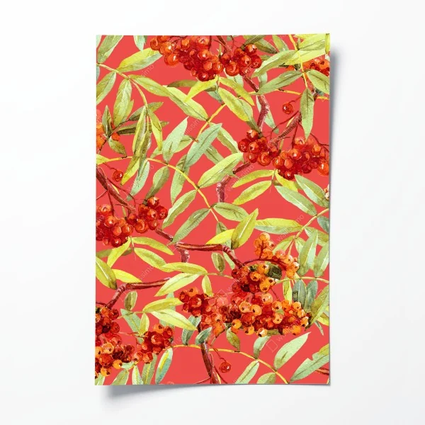 Plakat akwarelowy wzór jarzębiny