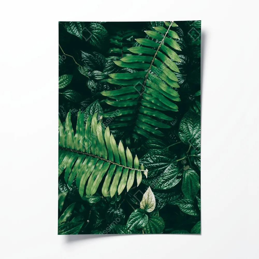 Plakat bujne tropikalne liście – Wallissimo® Plakat bujne tropikalne liście – Wallissimo®