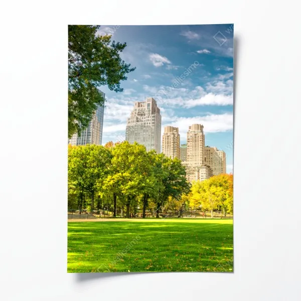 Plakat Central Park jesienna panorama