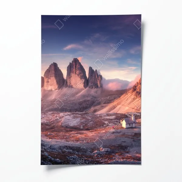 Plakat wzór z kaktusami i sukulentami – Wallissimo®