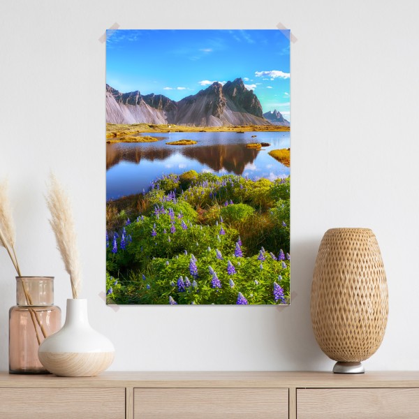Plakat żywe łubinowe łąki przy Vestrahorn, Islandia – Wallissimo® Plakat żywe łubinowe łąki przy Vestrahorn, Islandia – Wallissimo®