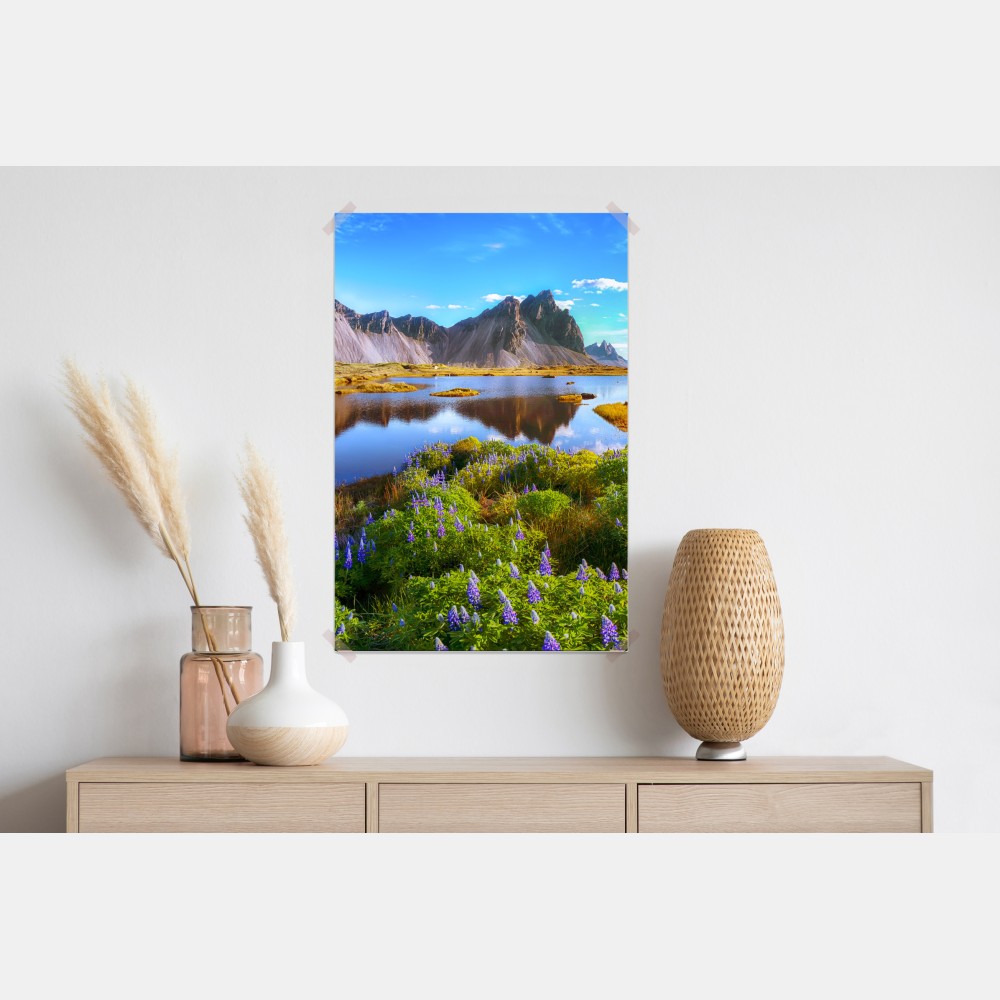 Plakat żywe łubinowe łąki przy Vestrahorn, Islandia – Wallissimo® Plakat żywe łubinowe łąki przy Vestrahorn, Islandia – Wallissimo®