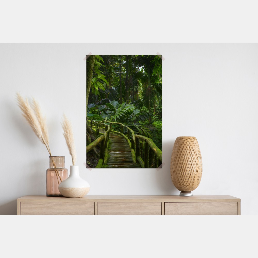 Plakat spokojna kładka w dżungli przez bujny las deszczowy – Wallissimo® Plakat spokojna kładka w dżungli przez bujny las deszczowy – Wallissimo®