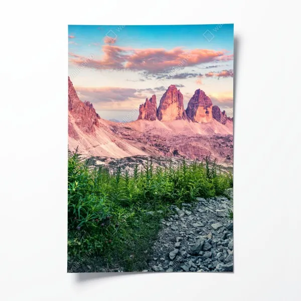 Plakat delikatny dmuchawiec w monochromie – Wallissimo®