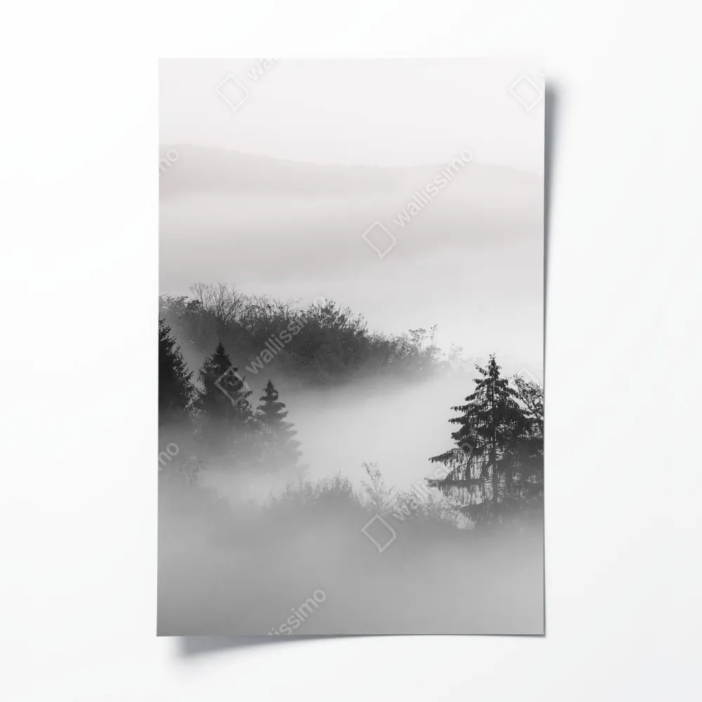 Plakat mglisty las w odcieniach szarości – Wallissimo® Plakat mglisty las w odcieniach szarości – Wallissimo®