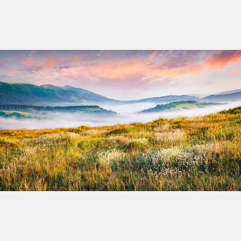 Plakat mglisty poranek w Borżawie – Wallissimo® Plakat mglisty poranek w Borżawie – Wallissimo®