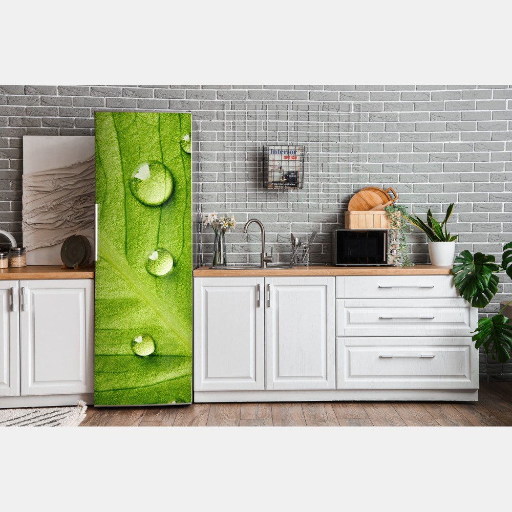 Naklejka na lodówkę świeży zielony liść z kroplami wody – Wallissimo® Naklejka na lodówkę świeży zielony liść z kroplami wody – Wallissimo®