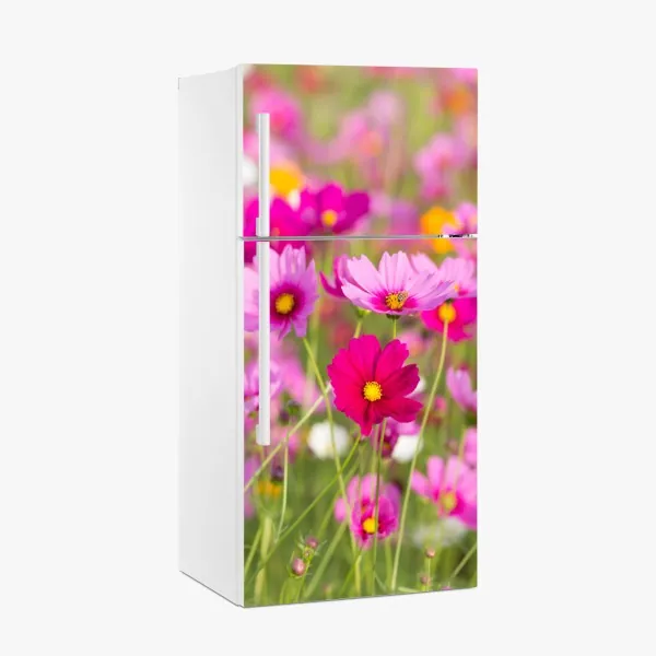 Naklejka na lodówkę różowa łąka kosmosów w rozkwicie