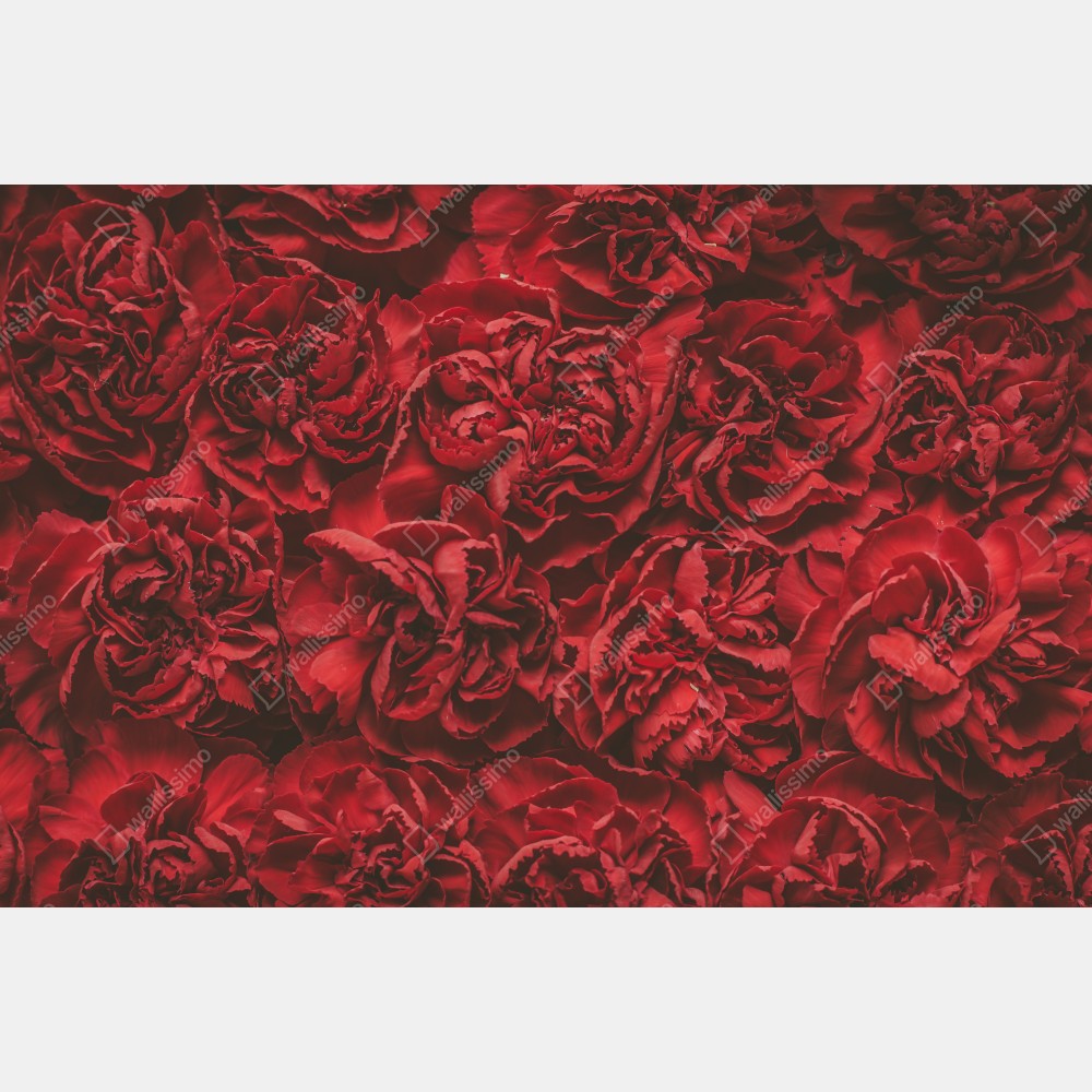 Naklejka na lodówkę retro czerwone goździki wzór kwiatowy – Wallissimo® Naklejka na lodówkę retro czerwone goździki wzór kwiatowy – Wallissimo®