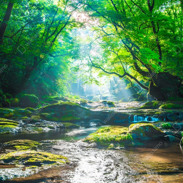 Naklejka na lodówkę słoneczny leśny strumień z mchem – Wallissimo® Naklejka na lodówkę słoneczny leśny strumień z mchem – Wallissimo®