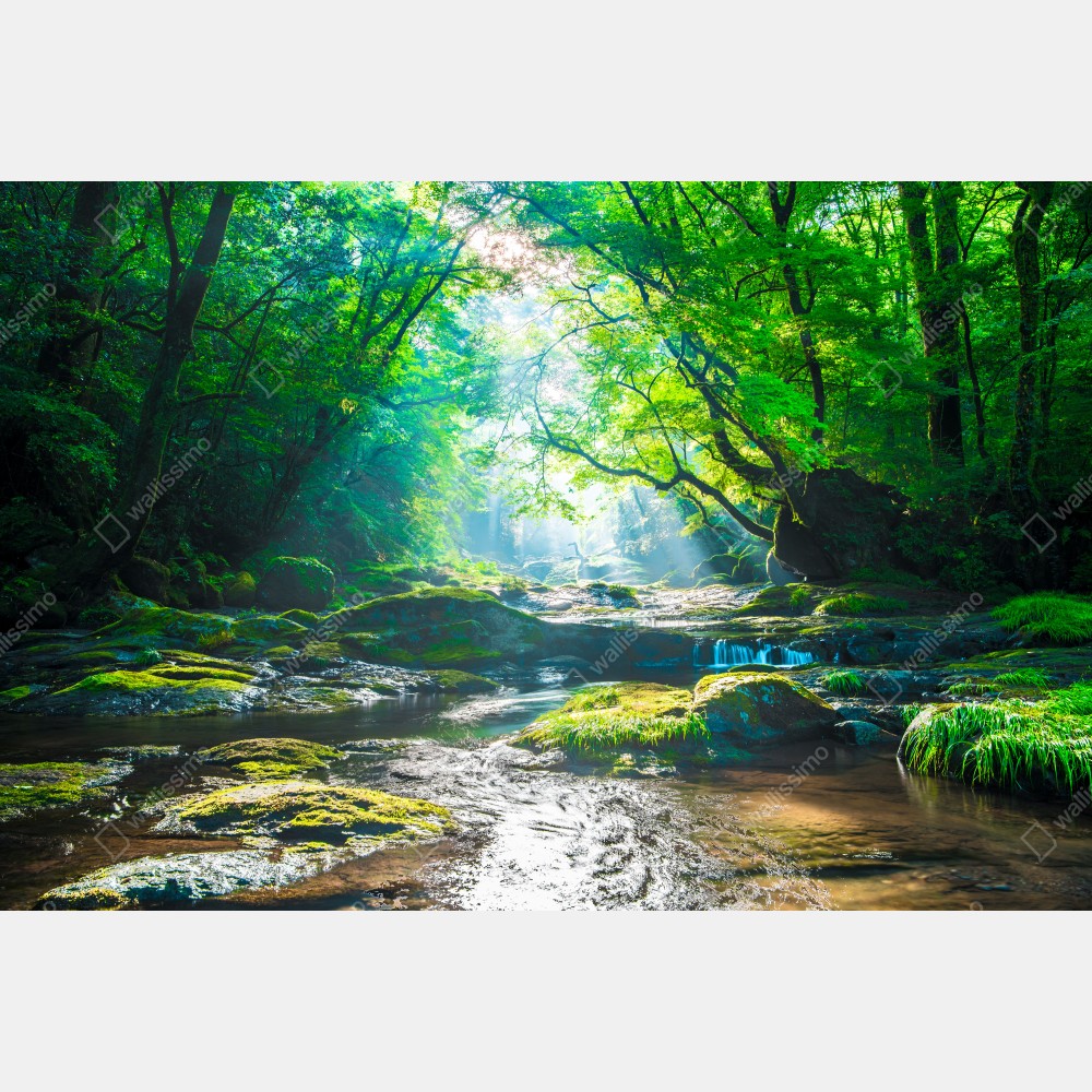 Naklejka na lodówkę słoneczny leśny strumień z mchem – Wallissimo® Naklejka na lodówkę słoneczny leśny strumień z mchem – Wallissimo®