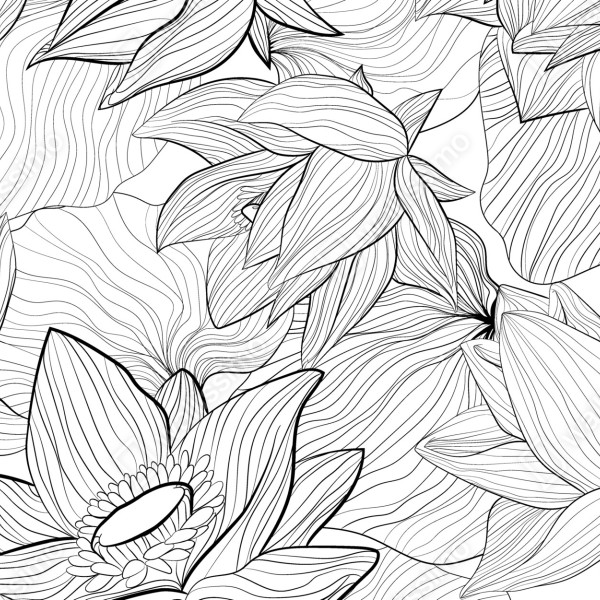 Naklejka na lodówkę delikatny rysunek lotosu w czerni i bieli – Wallissimo® Naklejka na lodówkę delikatny rysunek lotosu w czerni i bieli – Wallissimo®