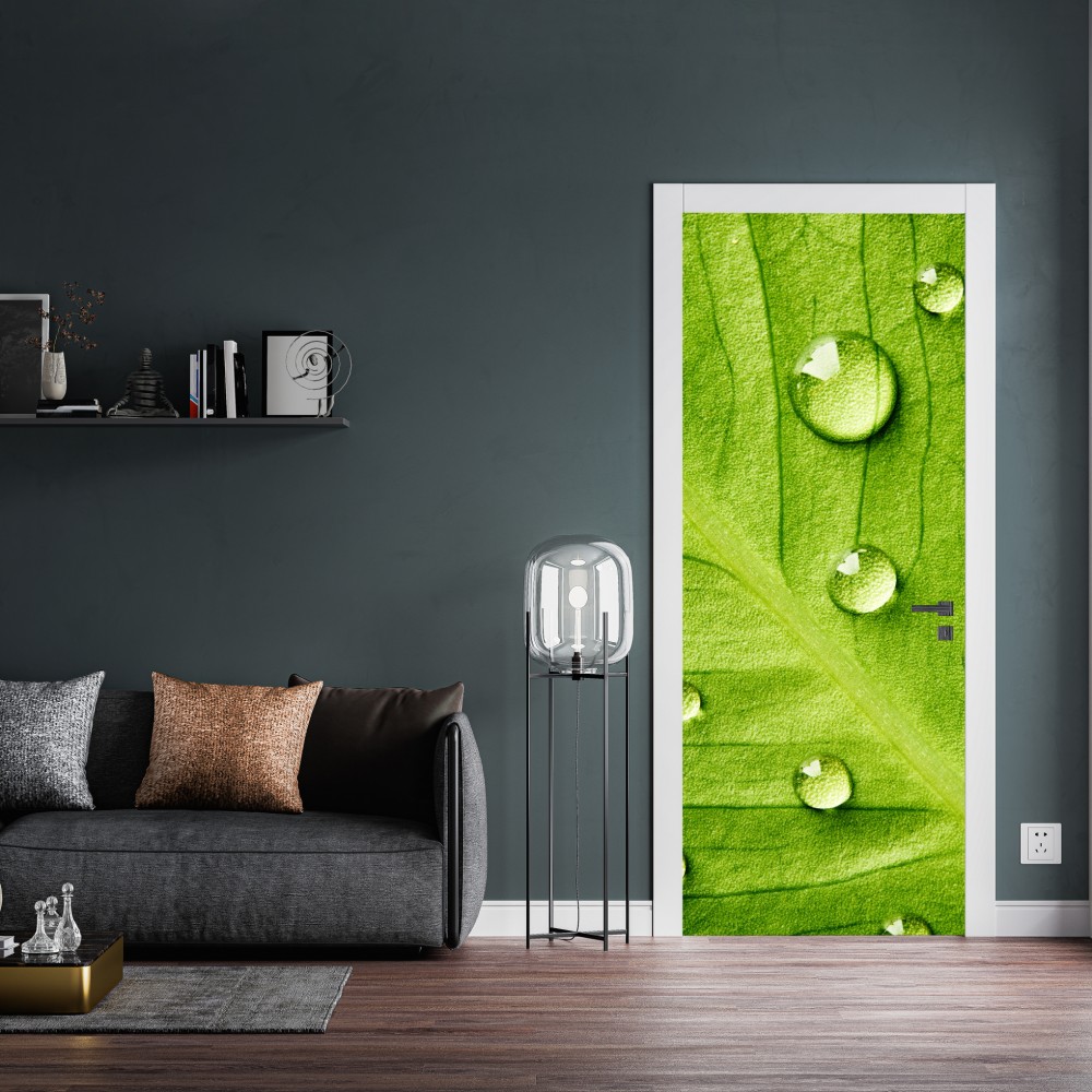 Naklejka na drzwi świeży zielony liść z kroplami wody – Wallissimo® Naklejka na drzwi świeży zielony liść z kroplami wody – Wallissimo®