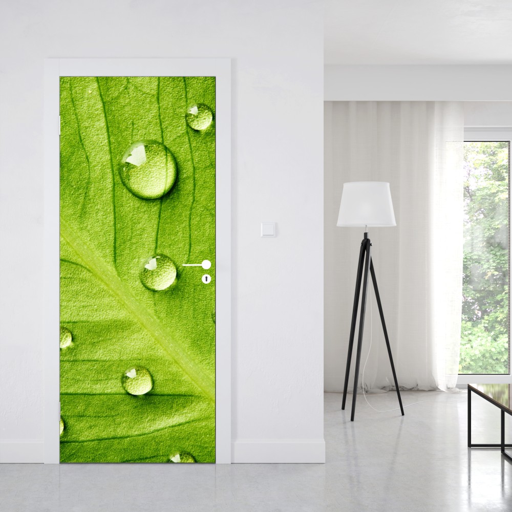 Naklejka na drzwi świeży zielony liść z kroplami wody – Wallissimo® Naklejka na drzwi świeży zielony liść z kroplami wody – Wallissimo®