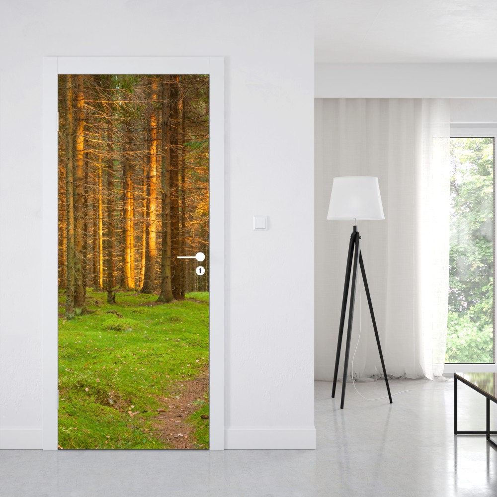 Naklejka na drzwi złote światło lesie sosnowym porośniętym mchem – Wallissimo® Naklejka na drzwi złote światło lesie sosnowym porośniętym mchem – Wallissimo®