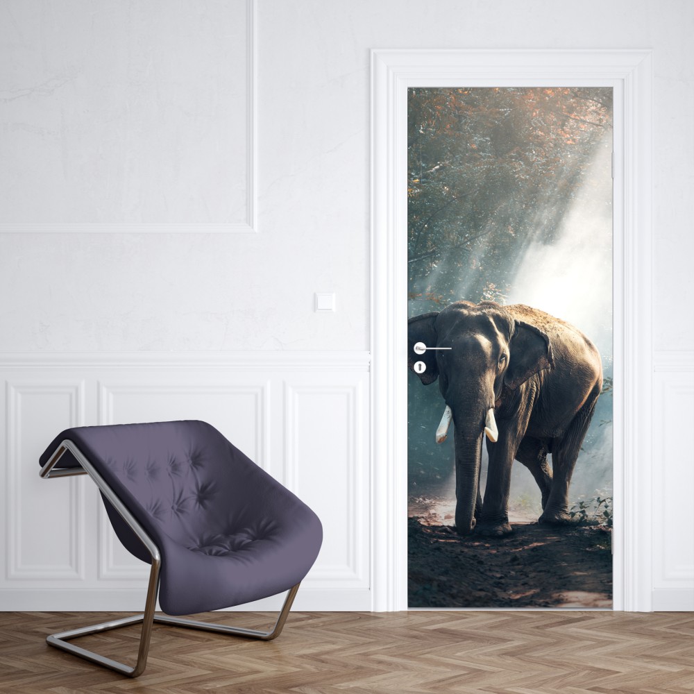 Naklejka na drzwi majestatyczny słoń w oświetlonym lesie – Wallissimo® Naklejka na drzwi majestatyczny słoń w oświetlonym lesie – Wallissimo®