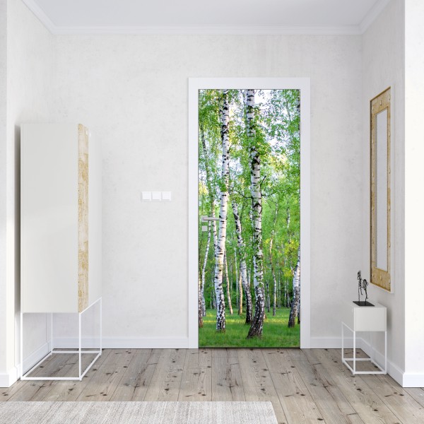 Naklejka na drzwi spokojny brzozowy gaj latem – Wallissimo® Naklejka na drzwi spokojny brzozowy gaj latem – Wallissimo®