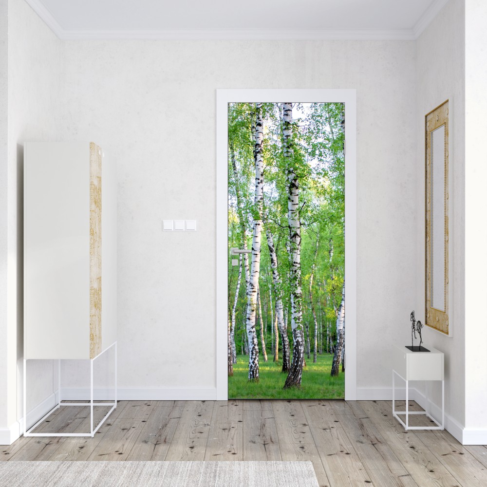 Naklejka na drzwi spokojny brzozowy gaj latem – Wallissimo® Naklejka na drzwi spokojny brzozowy gaj latem – Wallissimo®