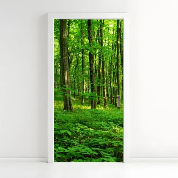 Naklejka na drzwi wodospady spływające po klifach fiordu – Wallissimo®