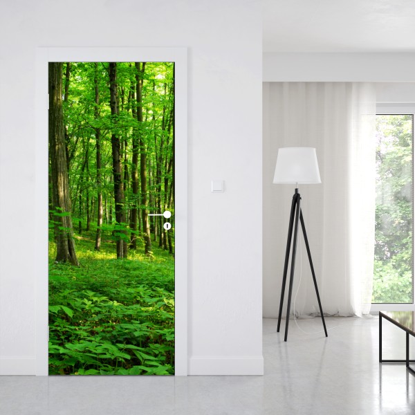 Naklejka na drzwi słoneczny zielony las wiosną – Wallissimo® Naklejka na drzwi słoneczny zielony las wiosną – Wallissimo®