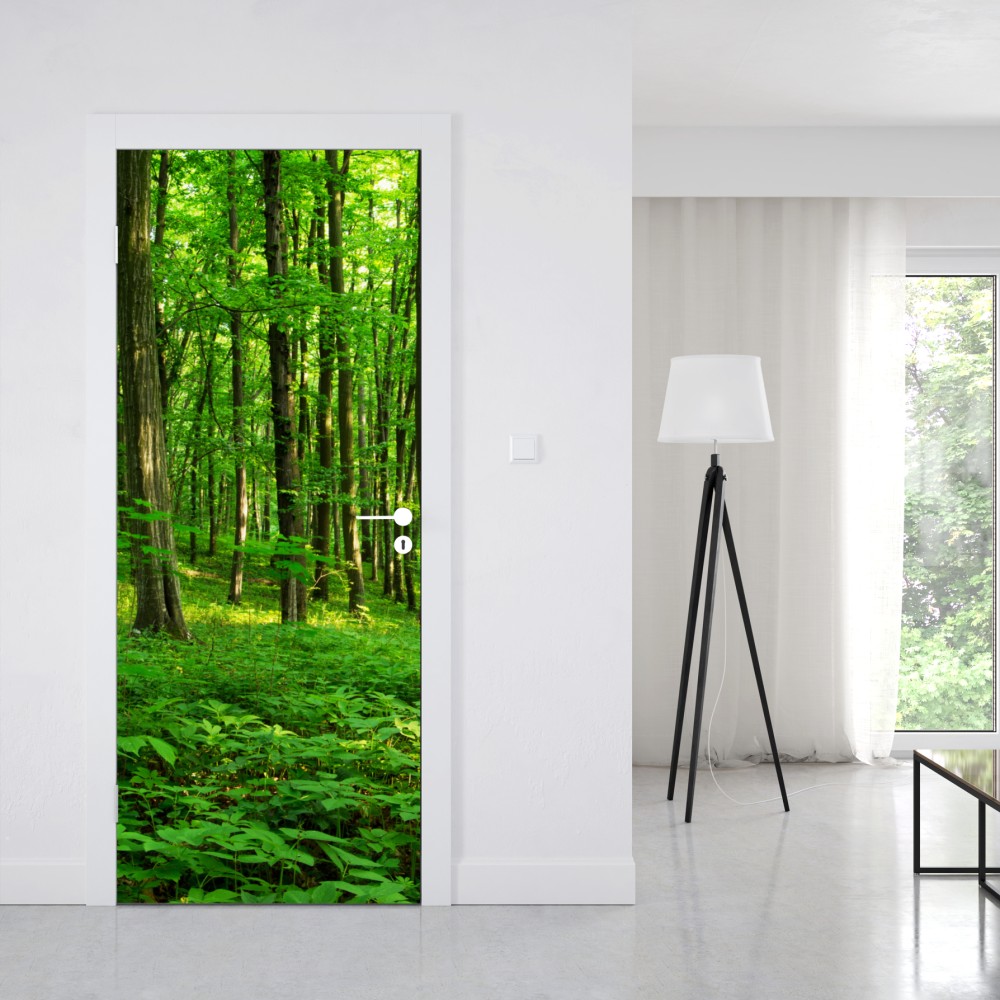 Naklejka na drzwi słoneczny zielony las wiosną – Wallissimo® Naklejka na drzwi słoneczny zielony las wiosną – Wallissimo®