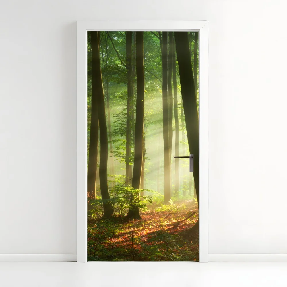 Naklejka na drzwi poranny las skąpany w słońcu – Wallissimo® Naklejka na drzwi poranny las skąpany w słońcu – Wallissimo®
