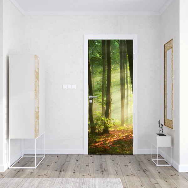 Naklejka na drzwi poranny las skąpany w słońcu – Wallissimo® Naklejka na drzwi poranny las skąpany w słońcu – Wallissimo®