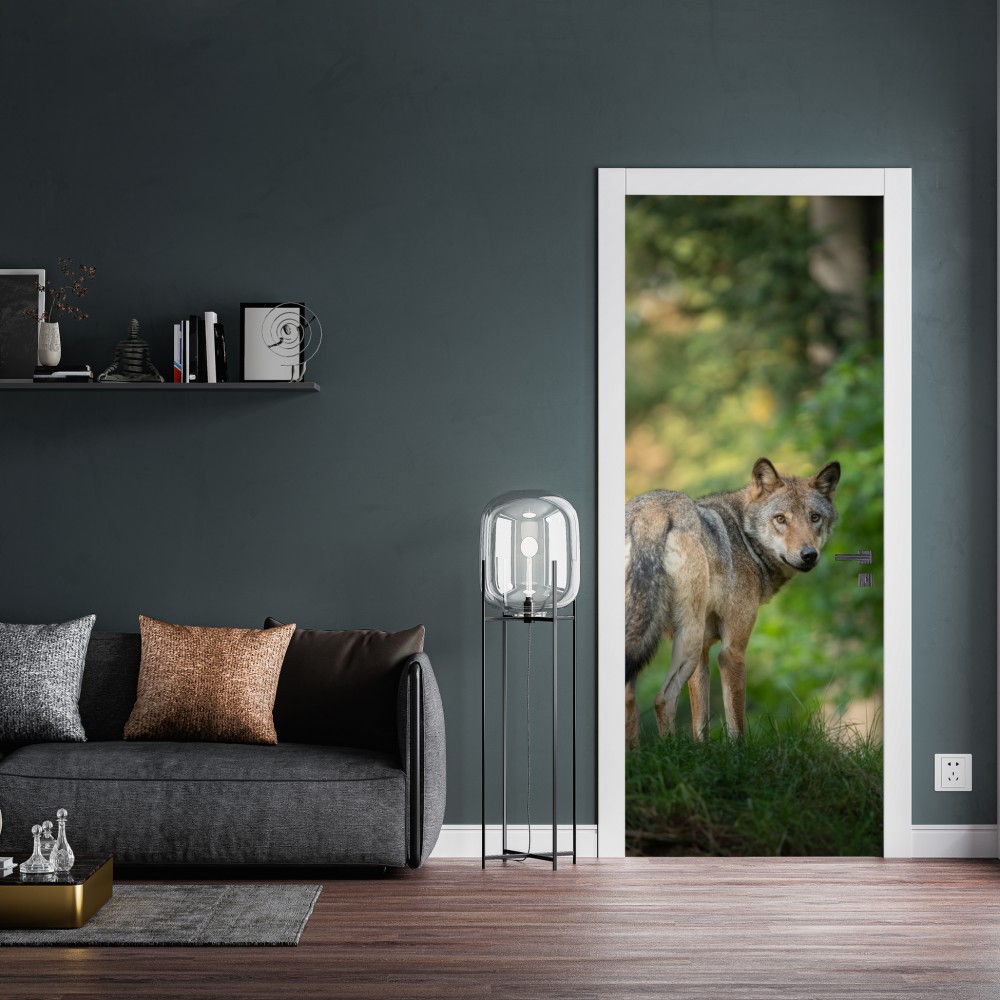 Naklejka na drzwi wilk w leśnej polanie – Wallissimo® Naklejka na drzwi wilk w leśnej polanie – Wallissimo®