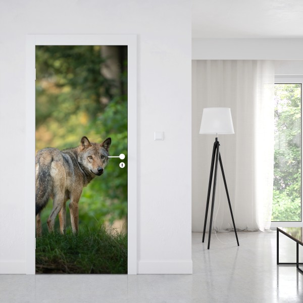 Naklejka na drzwi wilk w leśnej polanie – Wallissimo® Naklejka na drzwi wilk w leśnej polanie – Wallissimo®