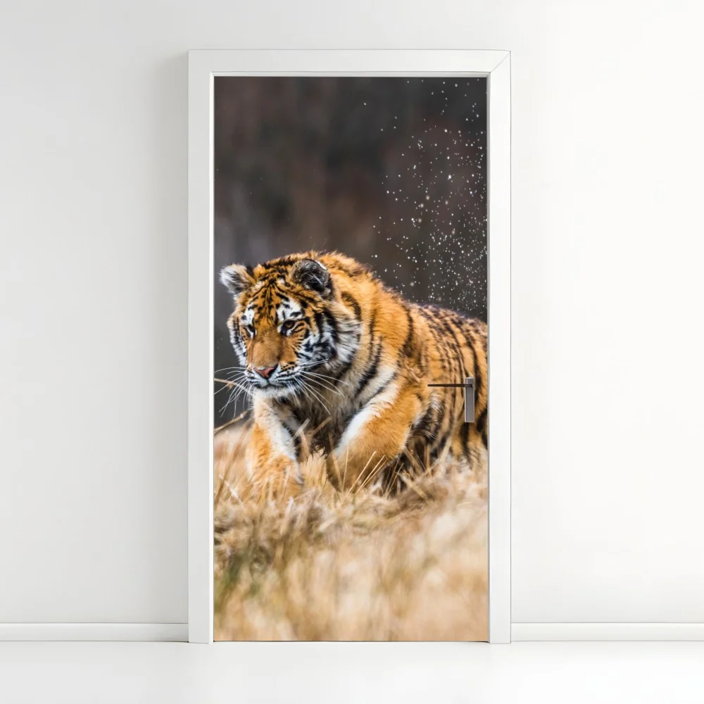 Naklejka na drzwi tygrys Syberyjski w biegu – Wallissimo® Naklejka na drzwi tygrys Syberyjski w biegu – Wallissimo®