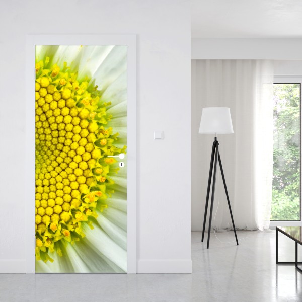 Naklejka na drzwi ścieżka przez bujną dżunglę – Wallissimo®