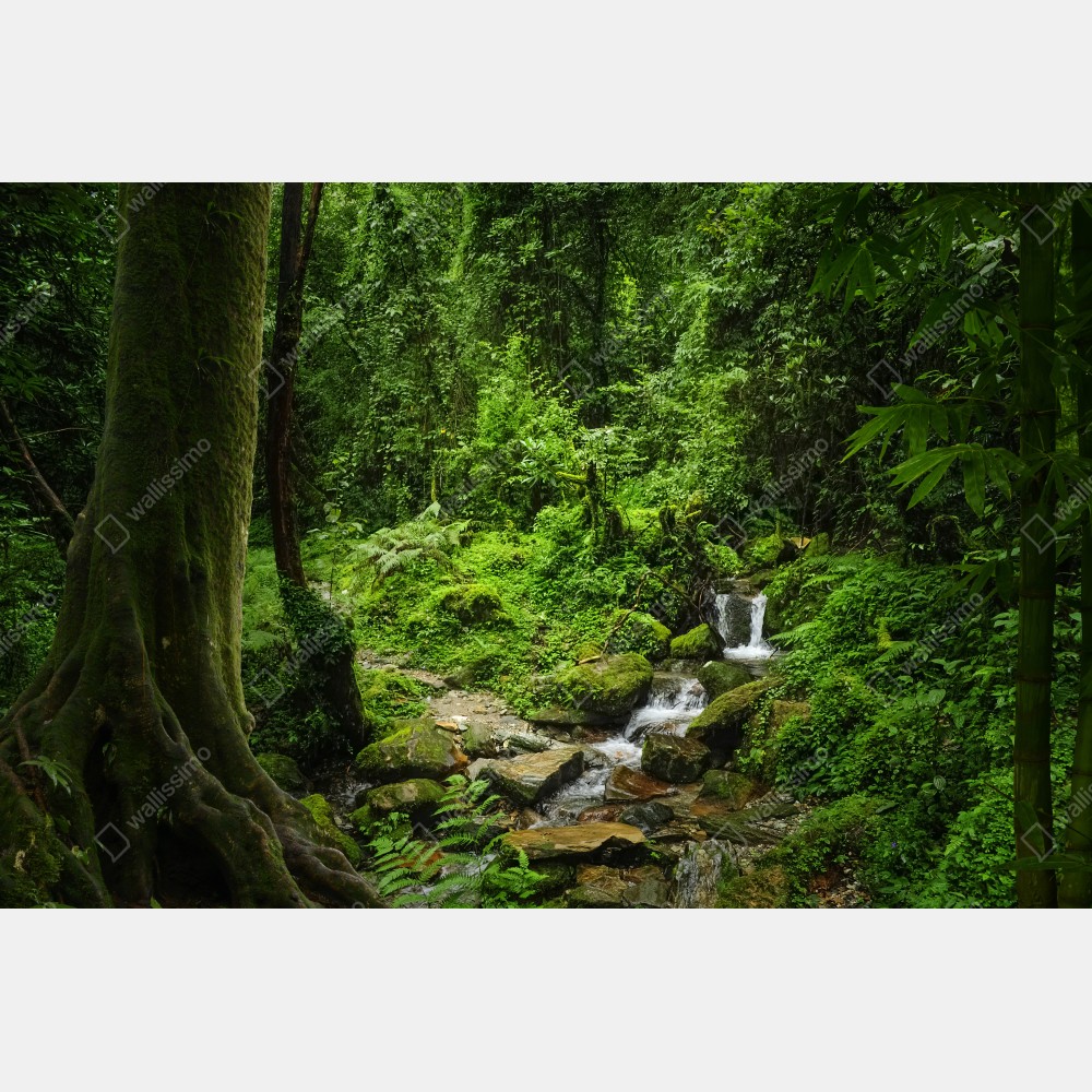Naklejka na drzwi bujny zielony leśny wodospad – Wallissimo® Naklejka na drzwi bujny zielony leśny wodospad – Wallissimo®