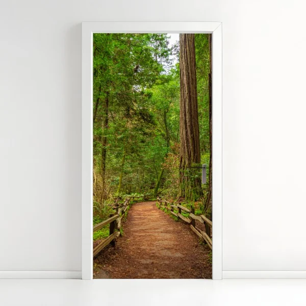 Naklejka na drzwi majestatyczna ścieżka w lesie sekwoi