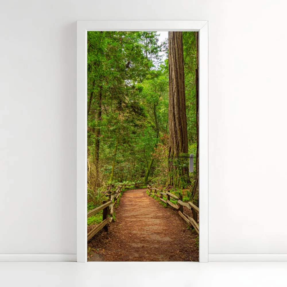 Naklejka na drzwi majestatyczna ścieżka w lesie sekwoi – Wallissimo® Naklejka na drzwi majestatyczna ścieżka w lesie sekwoi – Wallissimo®