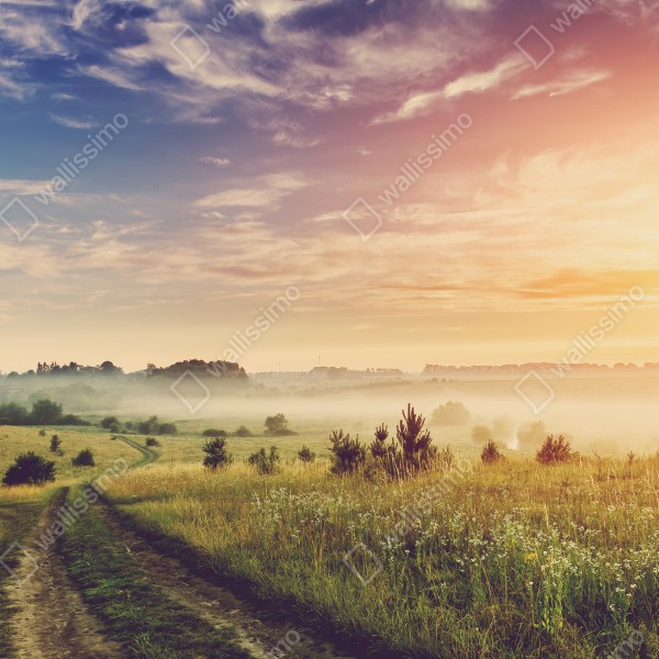 Naklejka na drzwi mglisty wschód słońca nad wiejską łąką – Wallissimo® Naklejka na drzwi mglisty wschód słońca nad wiejską łąką – Wallissimo®