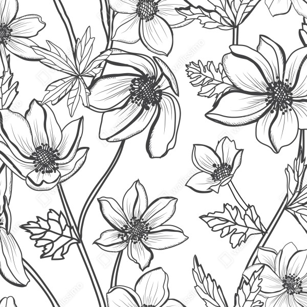 Naklejka na drzwi botaniczny rysunek kwiatowy – Wallissimo® Naklejka na drzwi botaniczny rysunek kwiatowy – Wallissimo®