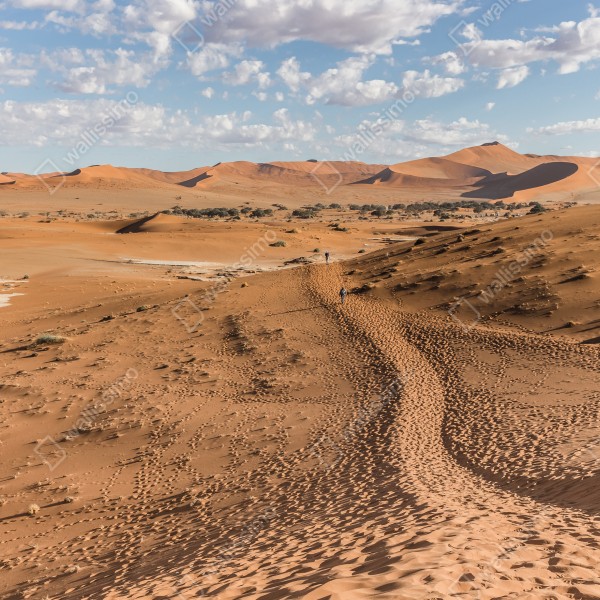 Naklejka na drzwi bezgraniczne wydmy pustyni pod błękitnym niebem – Wallissimo® Naklejka na drzwi bezgraniczne wydmy pustyni pod błękitnym niebem – Wallissimo®