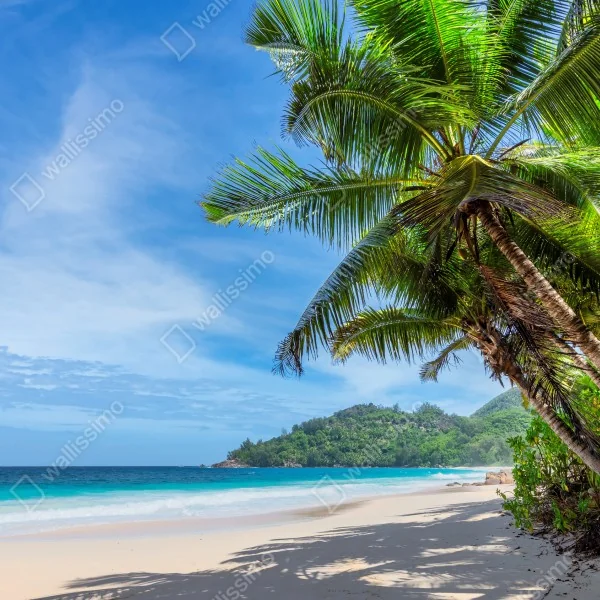 Naklejka na drzwi tropikalna plaża z palmami i żaglówką – Wallissimo® Naklejka na drzwi tropikalna plaża z palmami i żaglówką – Wallissimo®