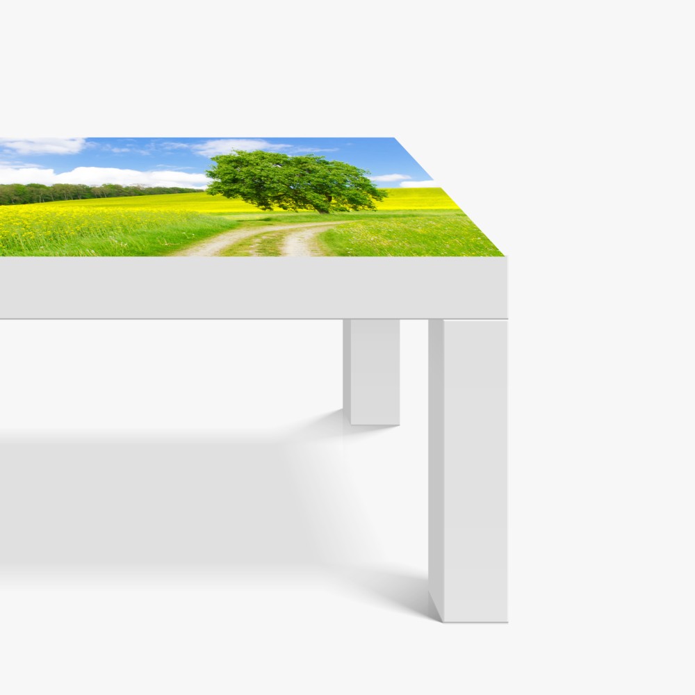 Naklejka na biurko i stół słoneczna wiejska ścieżka z samotnym drzewem – Wallissimo® Naklejka na biurko i stół słoneczna wiejska ścieżka z samotnym drzewem – Wallissimo®