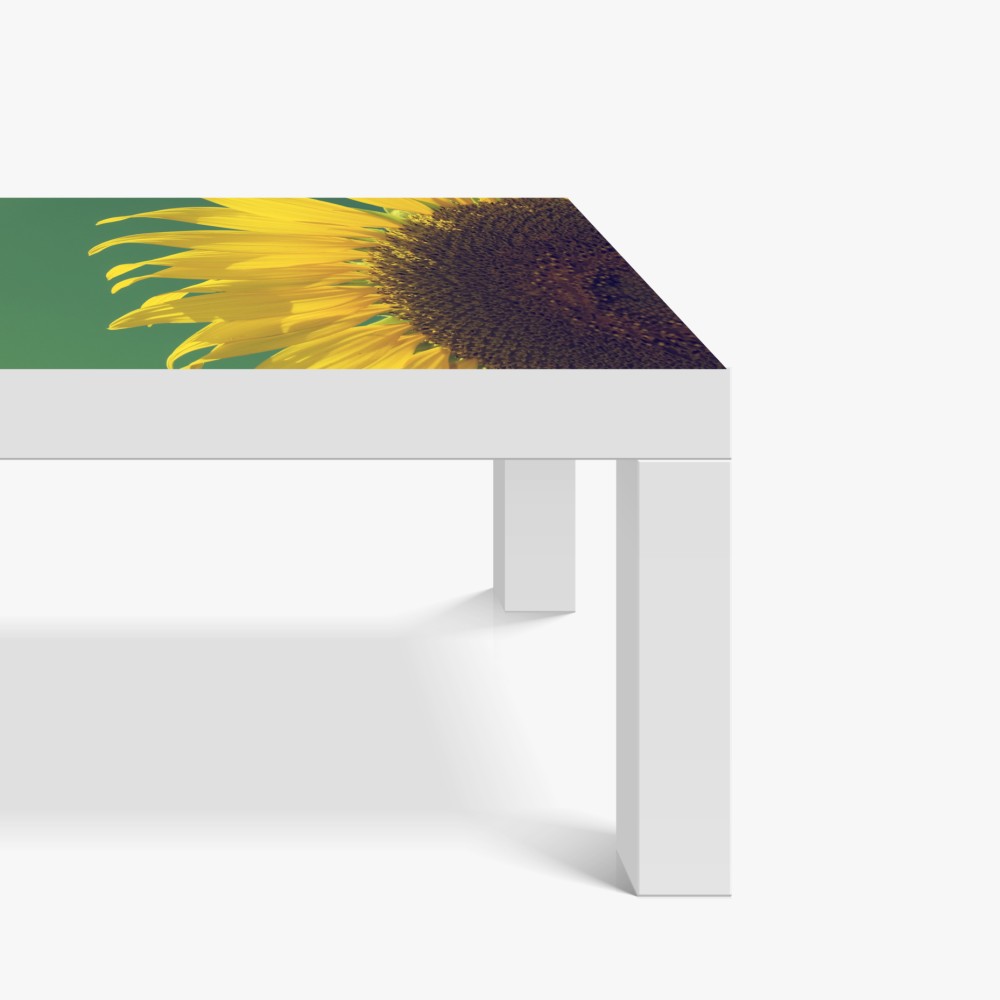 Naklejka na biurko i stół promienny słonecznik na retro niebie – Wallissimo® Naklejka na biurko i stół promienny słonecznik na retro niebie – Wallissimo®