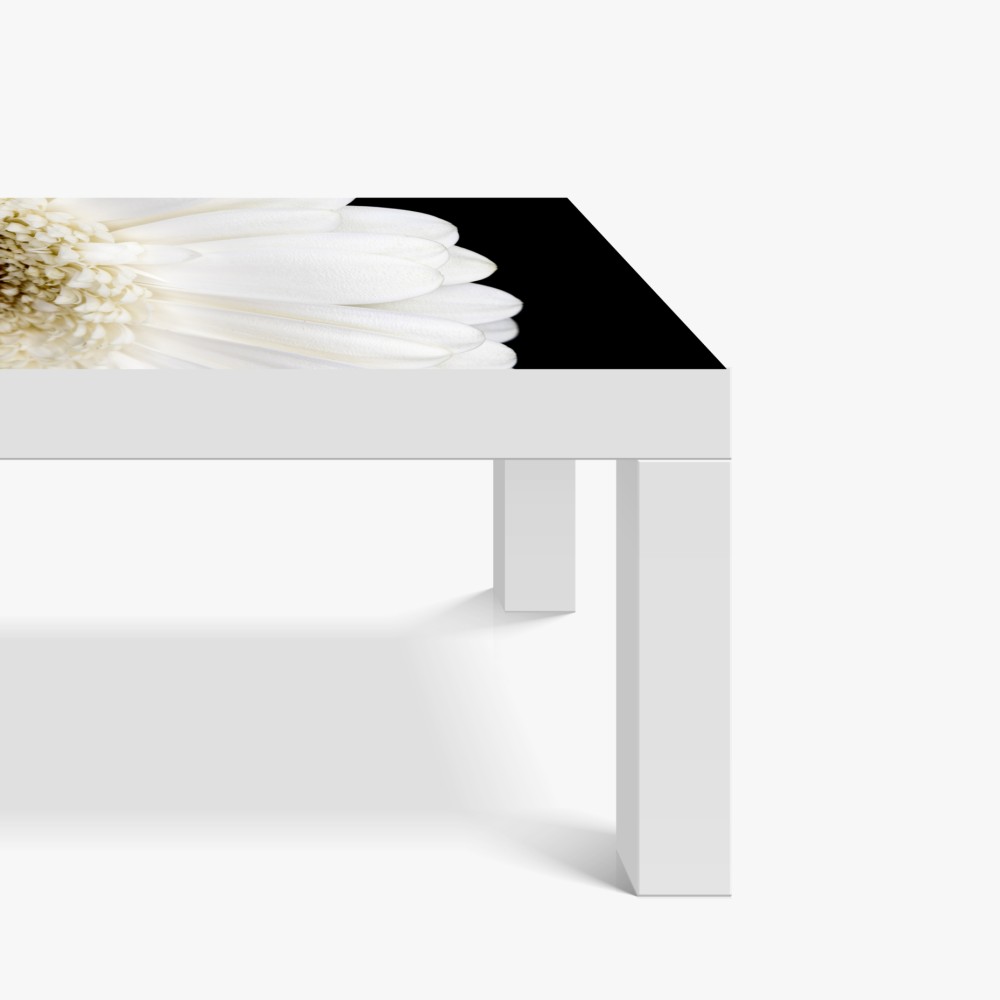 Naklejka na biurko i stół biała gerbera na czarnym tle minimalistyczne zbliżenie – Wallissimo® Naklejka na biurko i stół biała gerbera na czarnym tle minimalistyczne zbliżenie – Wallissimo®