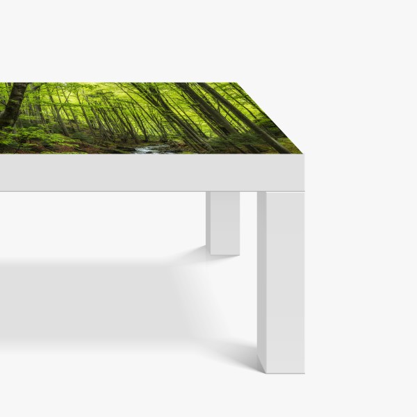 Naklejka na biurko i stół gałązki oliwne w akwareli – Wallissimo®