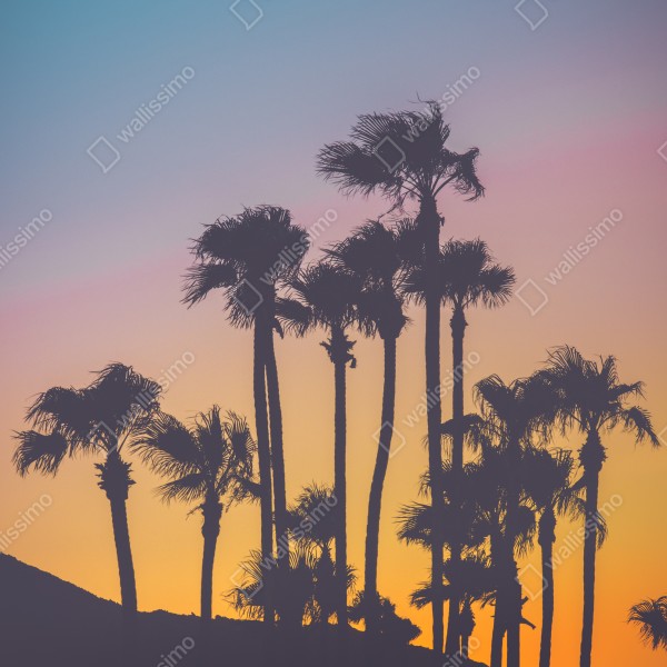Naklejka na biurko i stół retro tropikalne palmy o zachodzie słońca – Wallissimo® Naklejka na biurko i stół retro tropikalne palmy o zachodzie słońca – Wallissimo®