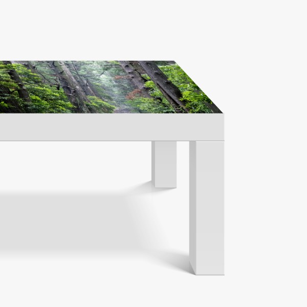 Naklejka na biurko i stół wiosenna łąka dmuchawców – Wallissimo®