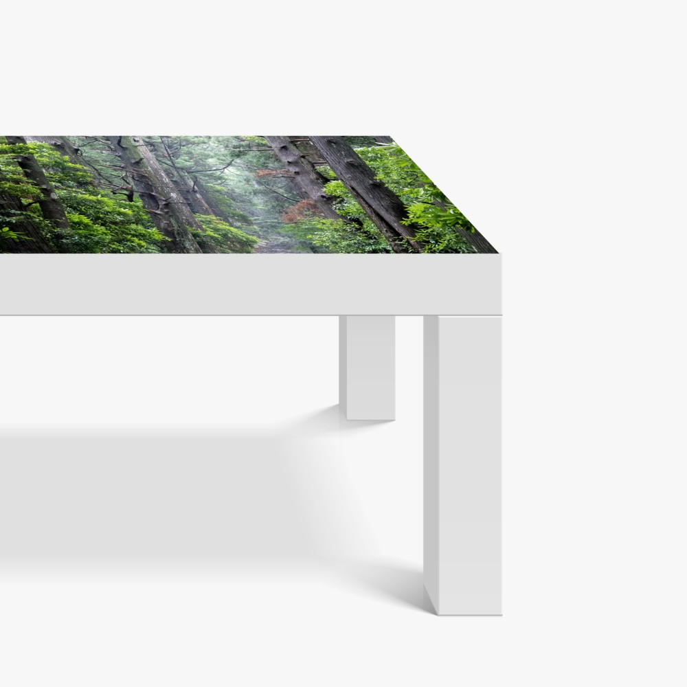 Naklejka na biurko i stół mistyczna ścieżka leśna między starymi drzewami – Wallissimo® Naklejka na biurko i stół mistyczna ścieżka leśna między starymi drzewami – Wallissimo®