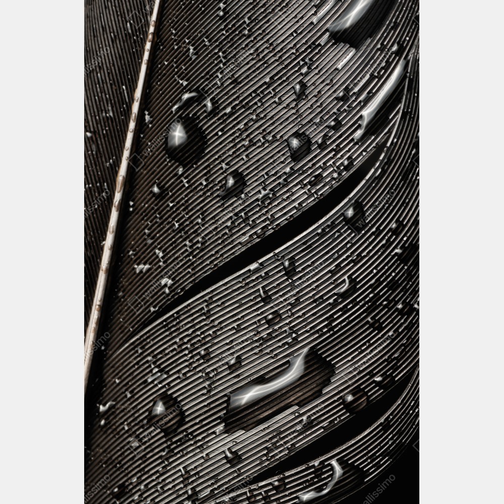 Naklejka na biurko i stół czarno-białe pióro z kroplami wody – Wallissimo® Naklejka na biurko i stół czarno-białe pióro z kroplami wody – Wallissimo®