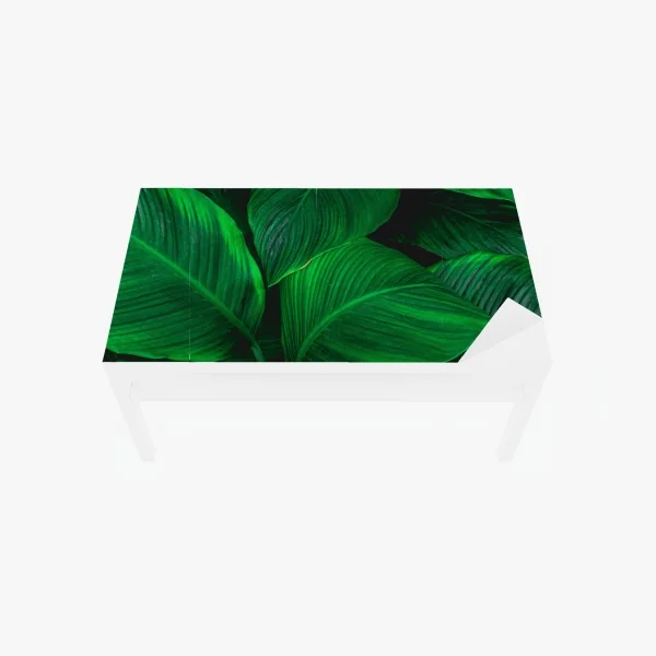 Naklejka na biurko i stół bujne tropikalne liście