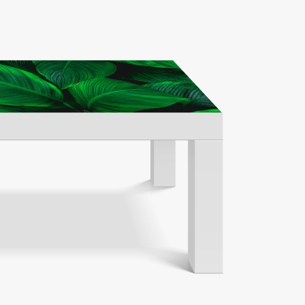 Naklejka na biurko i stół delikatne zbliżenie nasion dmuchawca czarno-białe – Wallissimo®